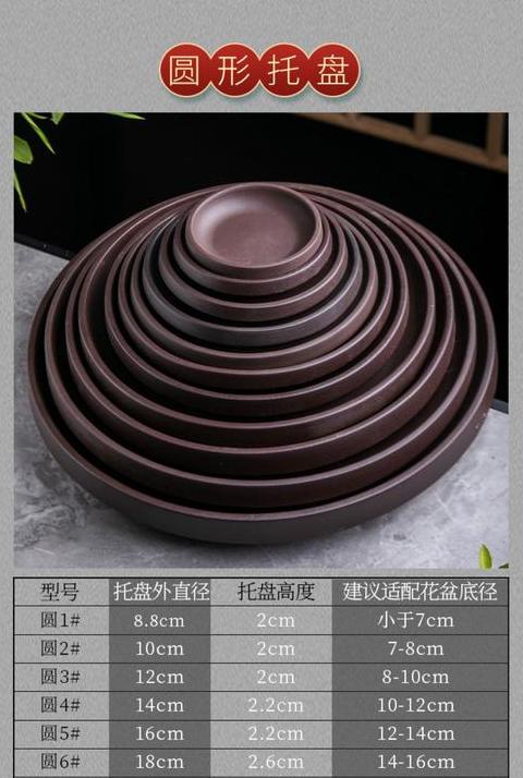 花盆底座托盘选购指南：耐用、尺寸与DIY教程