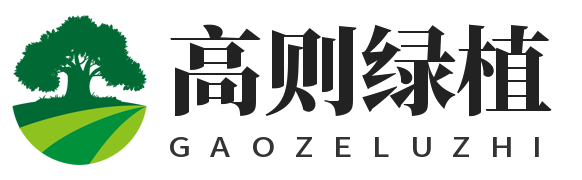 高则绿植