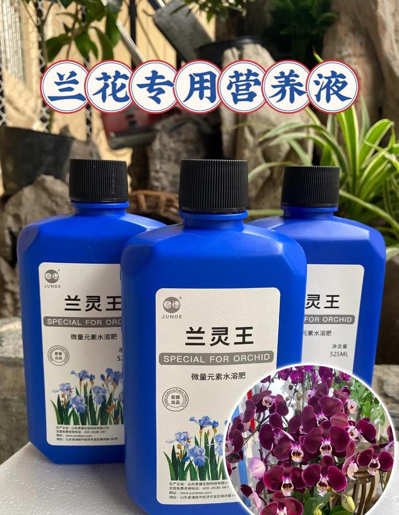 自制兰花肥料教程：氮磷钾肥全攻略