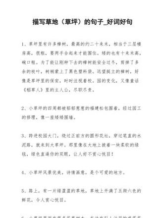 草坪美景，诗意盎然