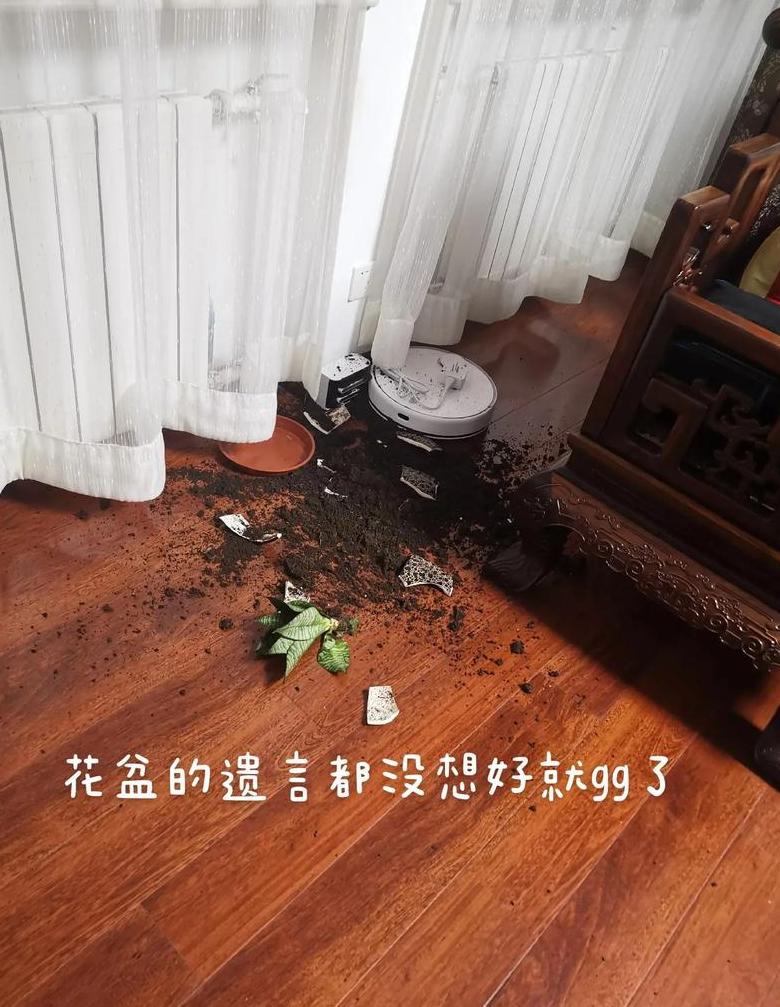 花盆破裂：迷信与科学的解读