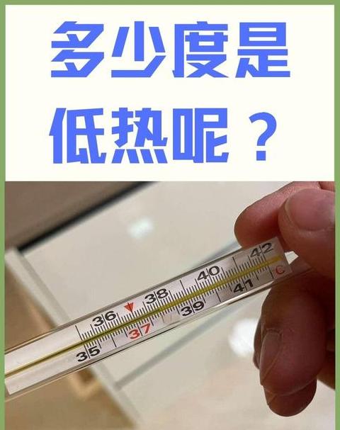 物理符号揭秘：T、t、S的含义及用途详解