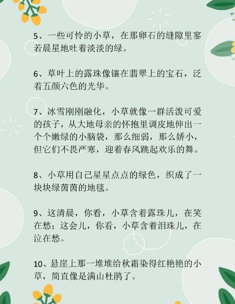 城市绿意盎然：共筑生态花园