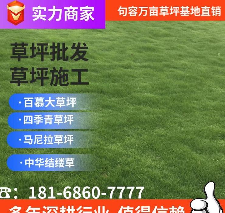 草坪养护价格解析及影响因素