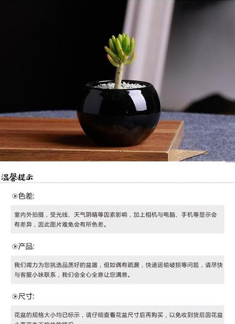 花盆小圆球揭秘：水晶泥与氮细菌共生之谜