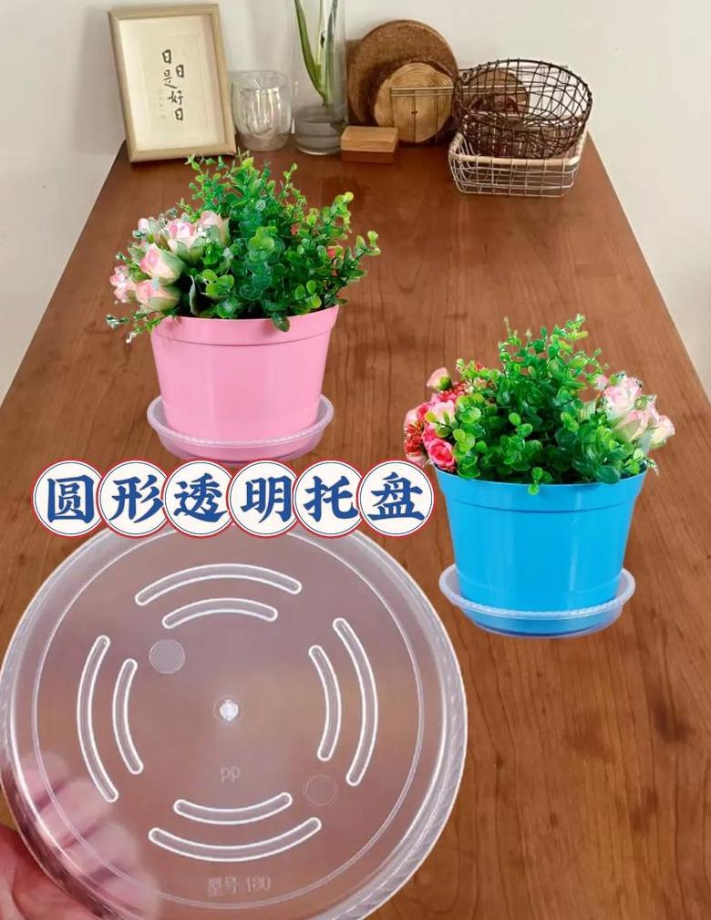 阳台花盆托盘：用还是不用？