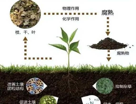 揭秘自然五大圈层：哪个圈层非自然形成？