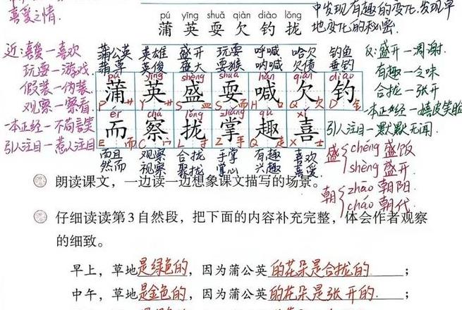 秋日草坪：金黄与宁静的诗篇
