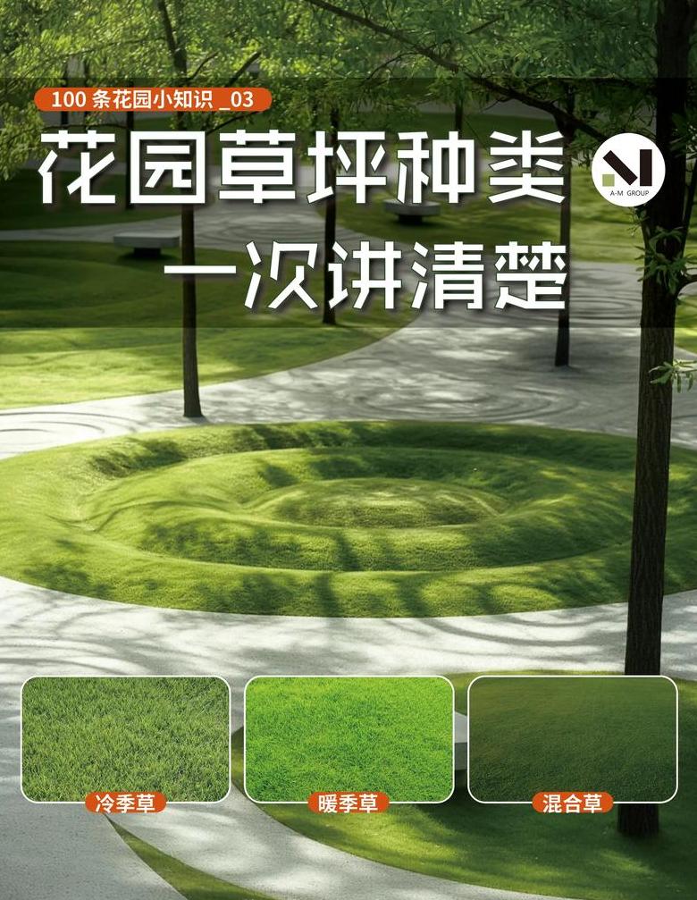 草坪与草坪草种类及区别解析