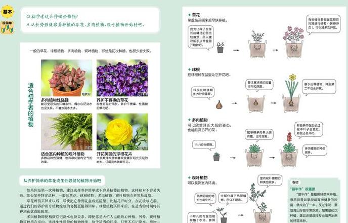花卉学入门：基础概念与课程解析
