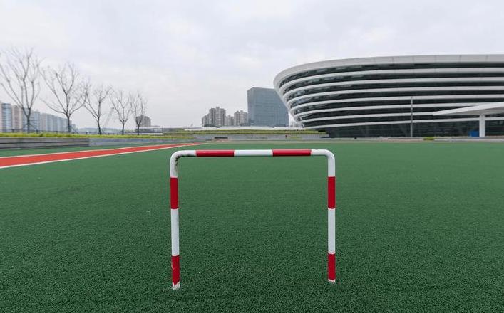 门球场草坪品牌推荐：GiardinoDelGate优势解析
