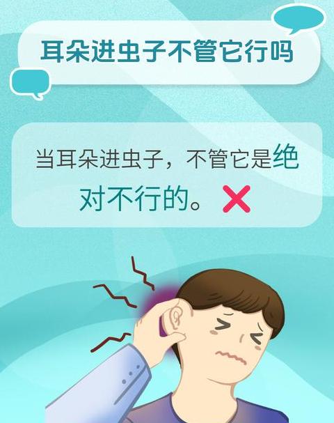 耳朵进虫子怎么办？防治攻略大揭秘
