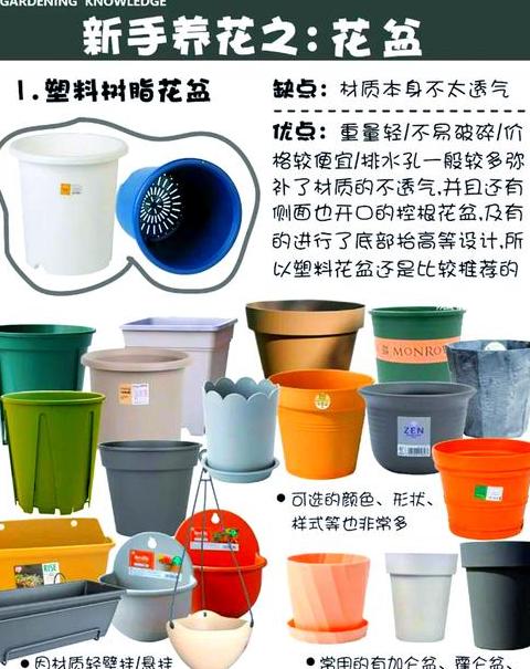陶瓷花盆选购指南：优缺点与适用植物解析