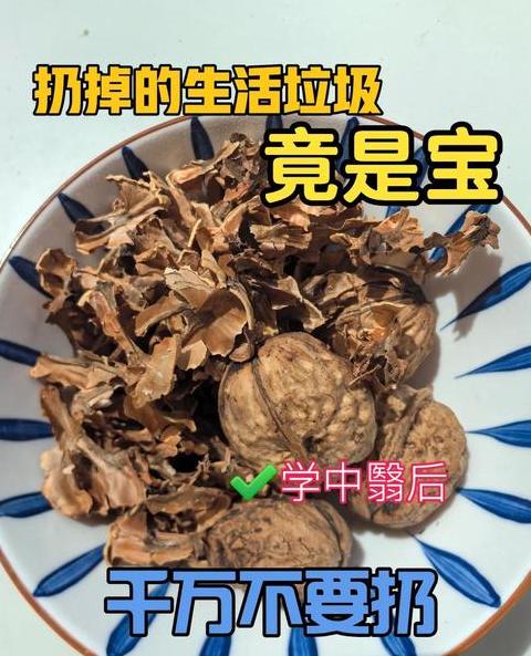 核桃壳垫底花盆技巧解析