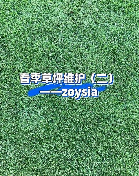 春季到冬季草坪养护全攻略