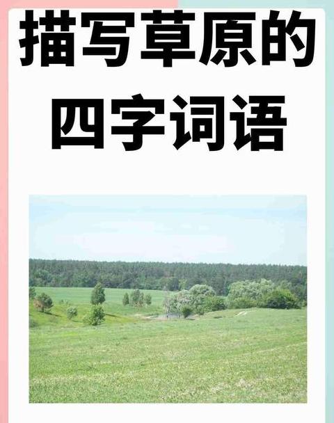 草坪词汇大揭秘：从绿松石到重生草坪
