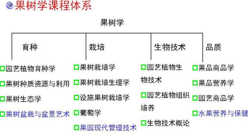 花卉生产与花艺专业核心课程解析