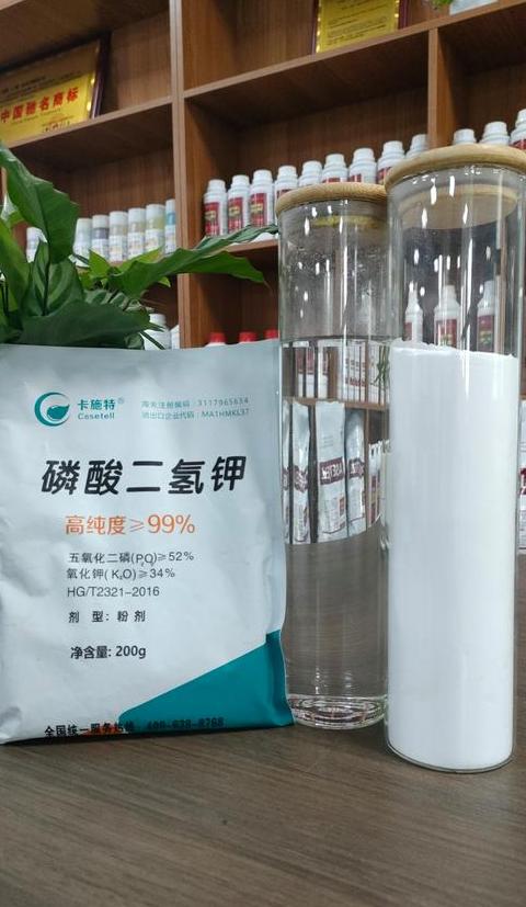 水培富贵竹初期肥料选择指南