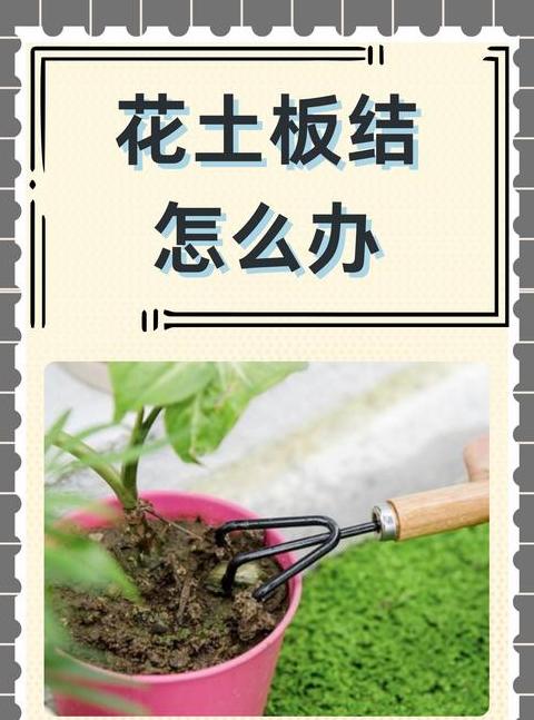 陶瓷花盆裂缝修复指南