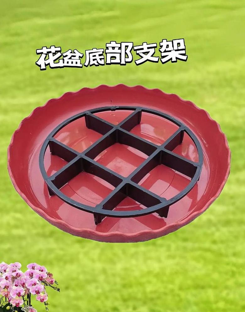 多肉养护指南：粘底花盆选择与饮料瓶创意花盆制作