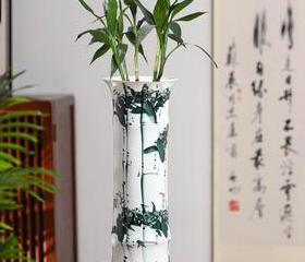 富贵竹盆栽种植技巧与花盆选择