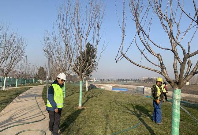 草坪养护攻略：时间、灌溉、工具与养护细节全解析