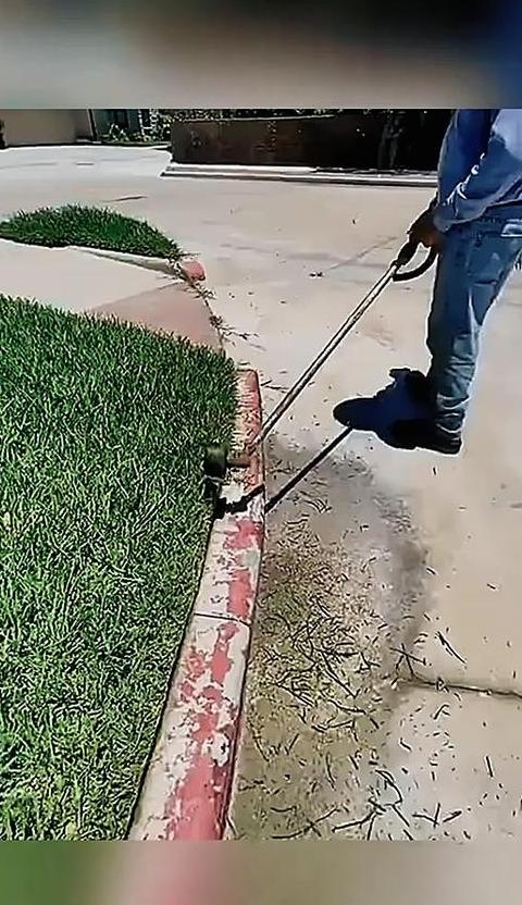 草坪修剪技巧：正确修剪方法解析