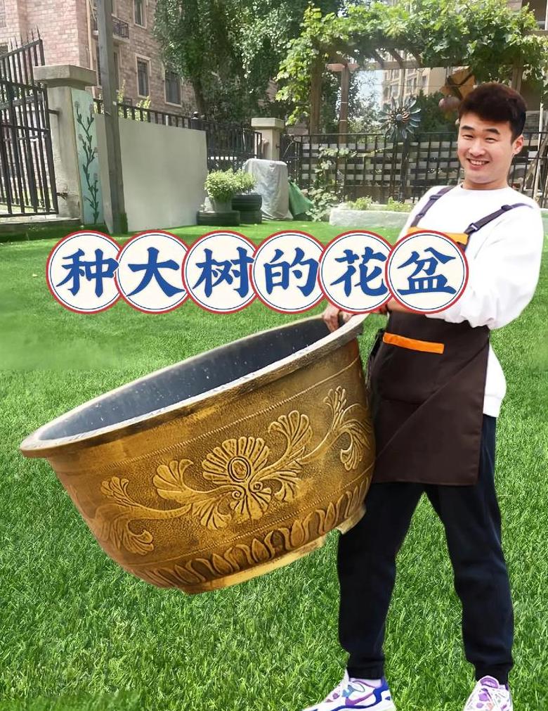 陶瓷与塑料花盆：养花选择全解析