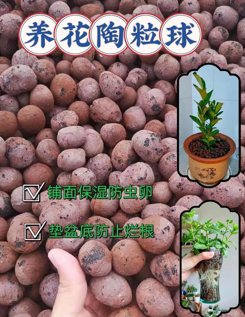 陶粒与泡沫：花盆底部透气垫材选择指南