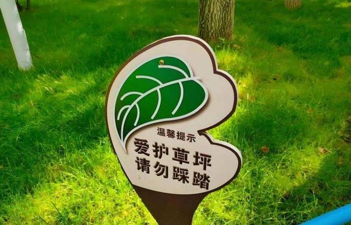 校园草坪守护，文明脚步同行提示语精选