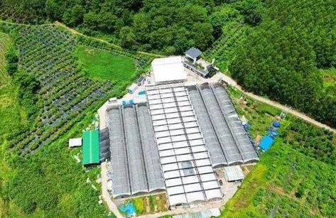 中国农业资源研究新突破：土壤改良与科技助力农业发展
