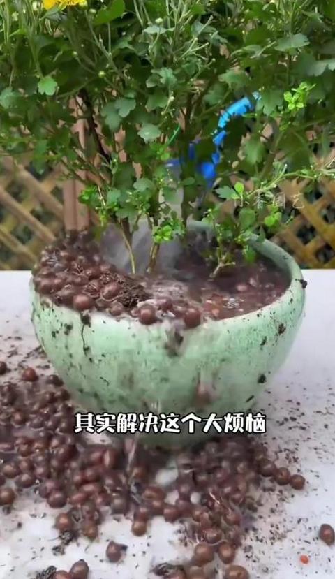 盆底铺设，助力植物健康成长