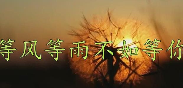 日本风铃的起源与寓意揭秘