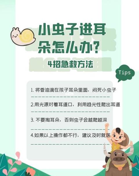 耳朵虫子入侵怎么办？应急处理指南