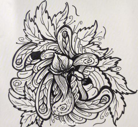创意插画命名艺术：花卉作品的诗意与风格解析