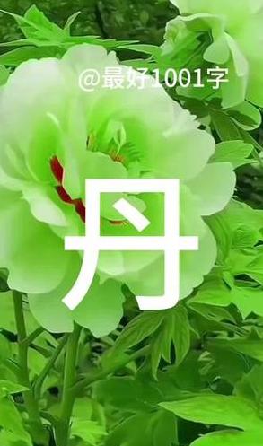 诗意盎然，丹字网名大集合